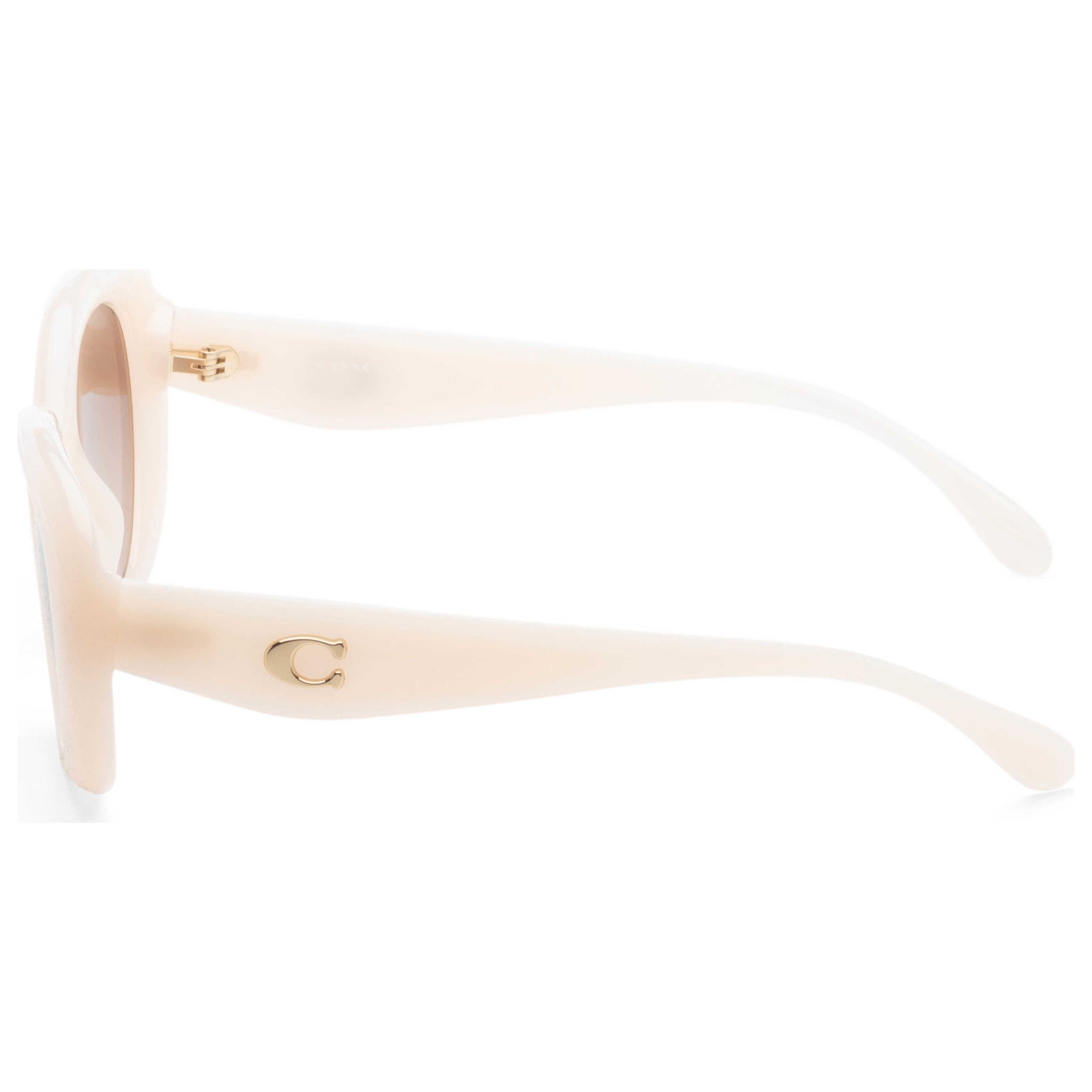 Coach Women's Sunglasses HC8391U-580513-53