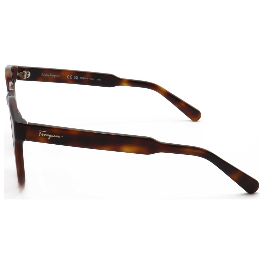 Ferragamo Fashion Women's Sunglasses SF1068S-240