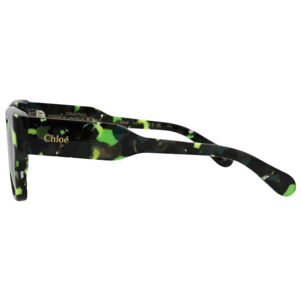 Chloe Women's Sunglasses CH0190S-30014666-005