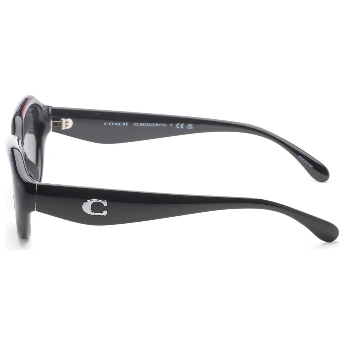 Coach Women's Sunglasses HC8433U-500287-52