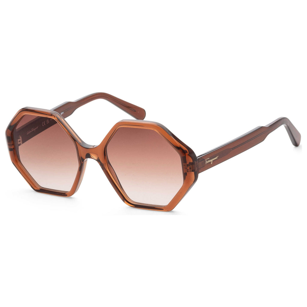 Ferragamo Fashion Women's Sunglasses SF1070S-210