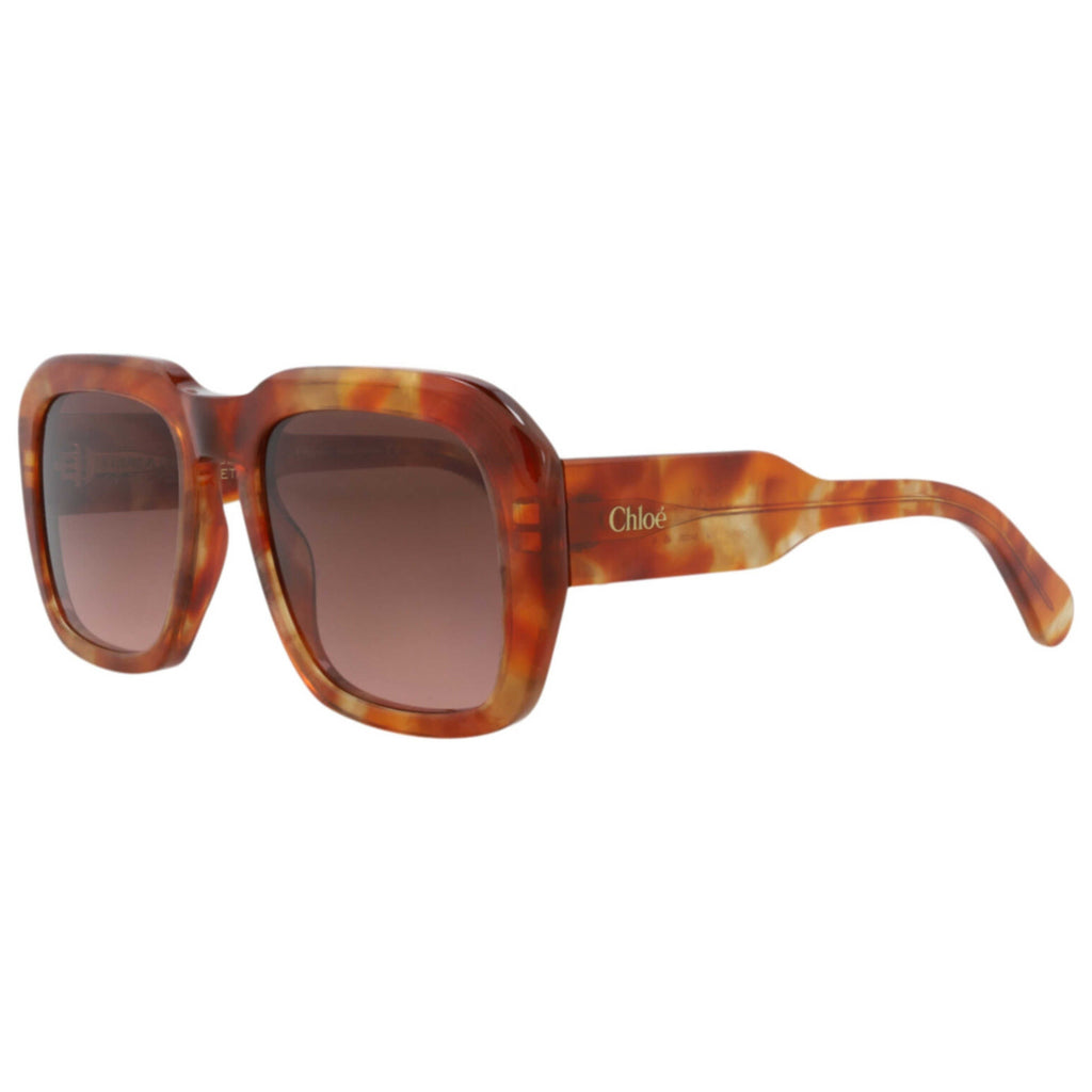 Chloe Women's Sunglasses CH0310S-30016294-004