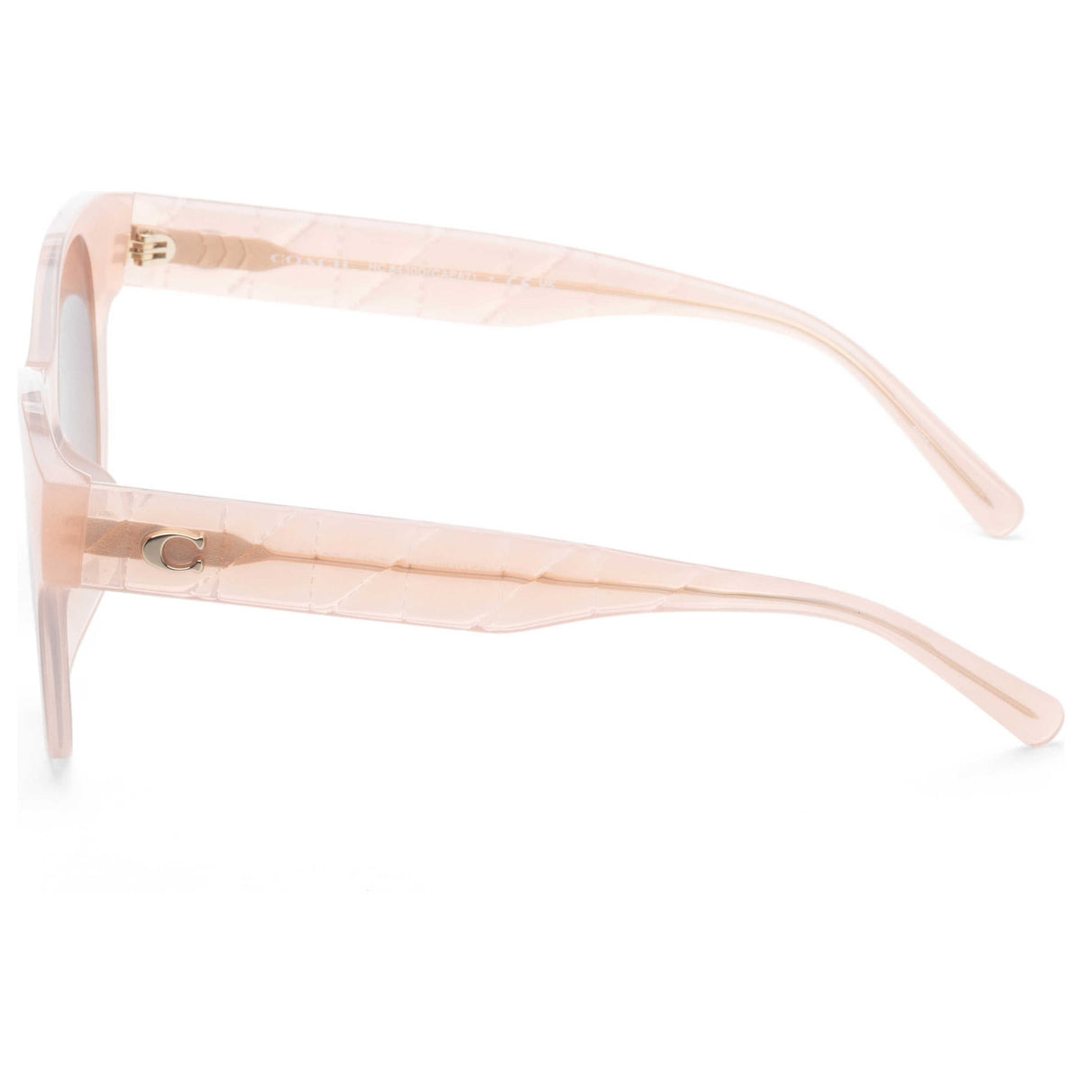 Coach Women's Sunglasses HC8430D-511374-56