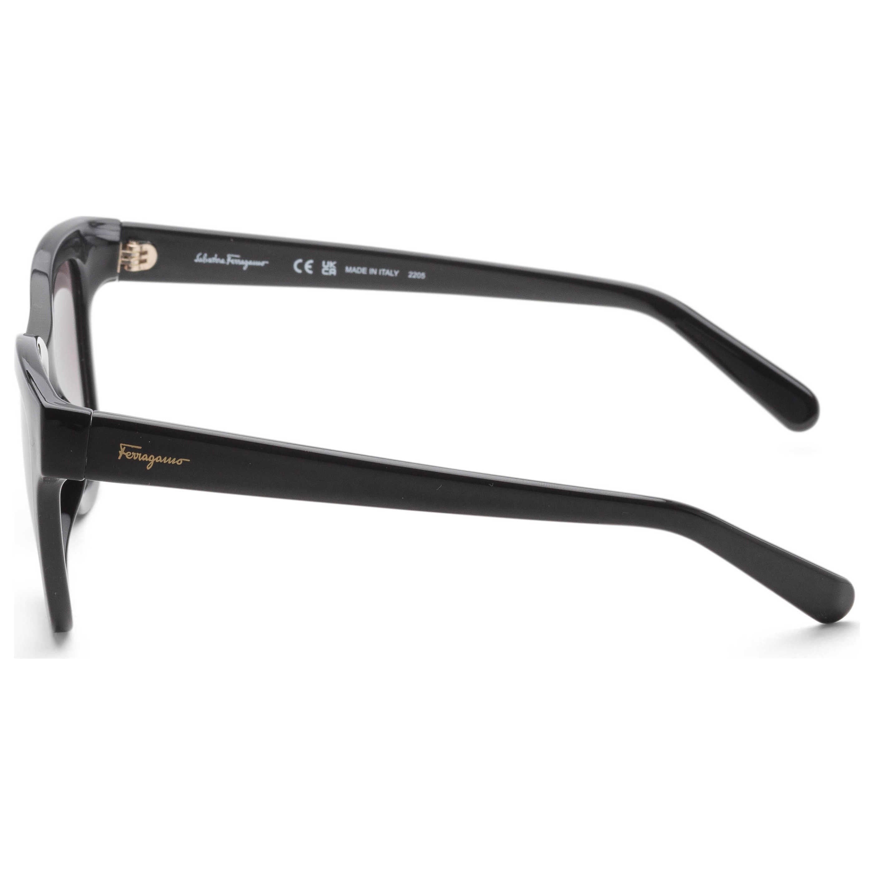 Ferragamo Women's Sunglasses SF1066S-001