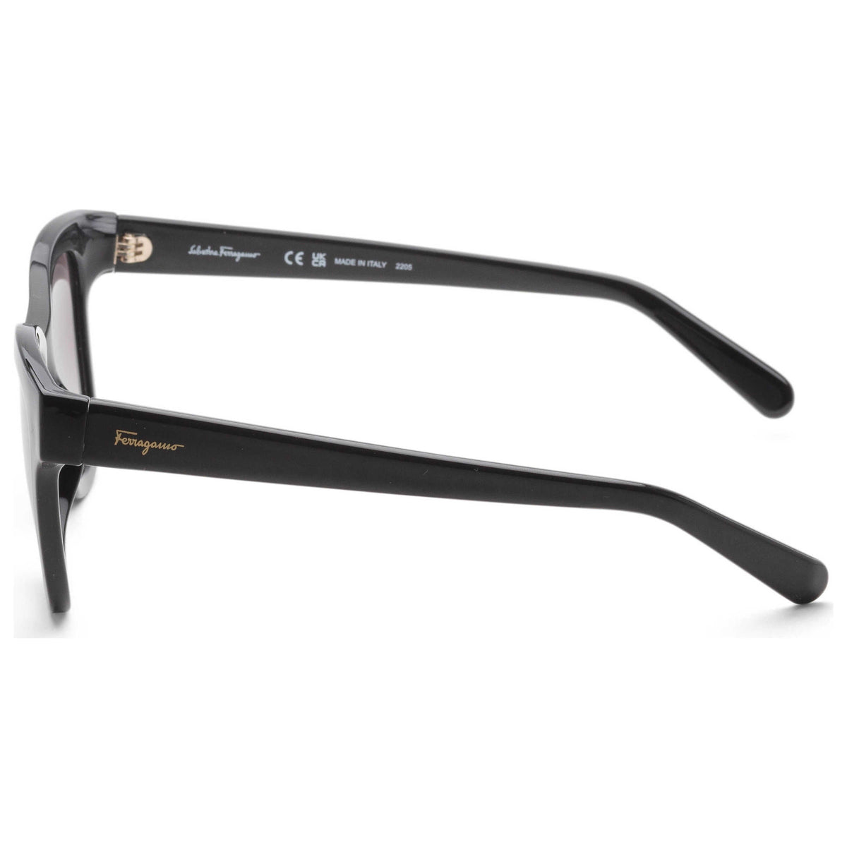 Ferragamo Women's Sunglasses SF1066S-001