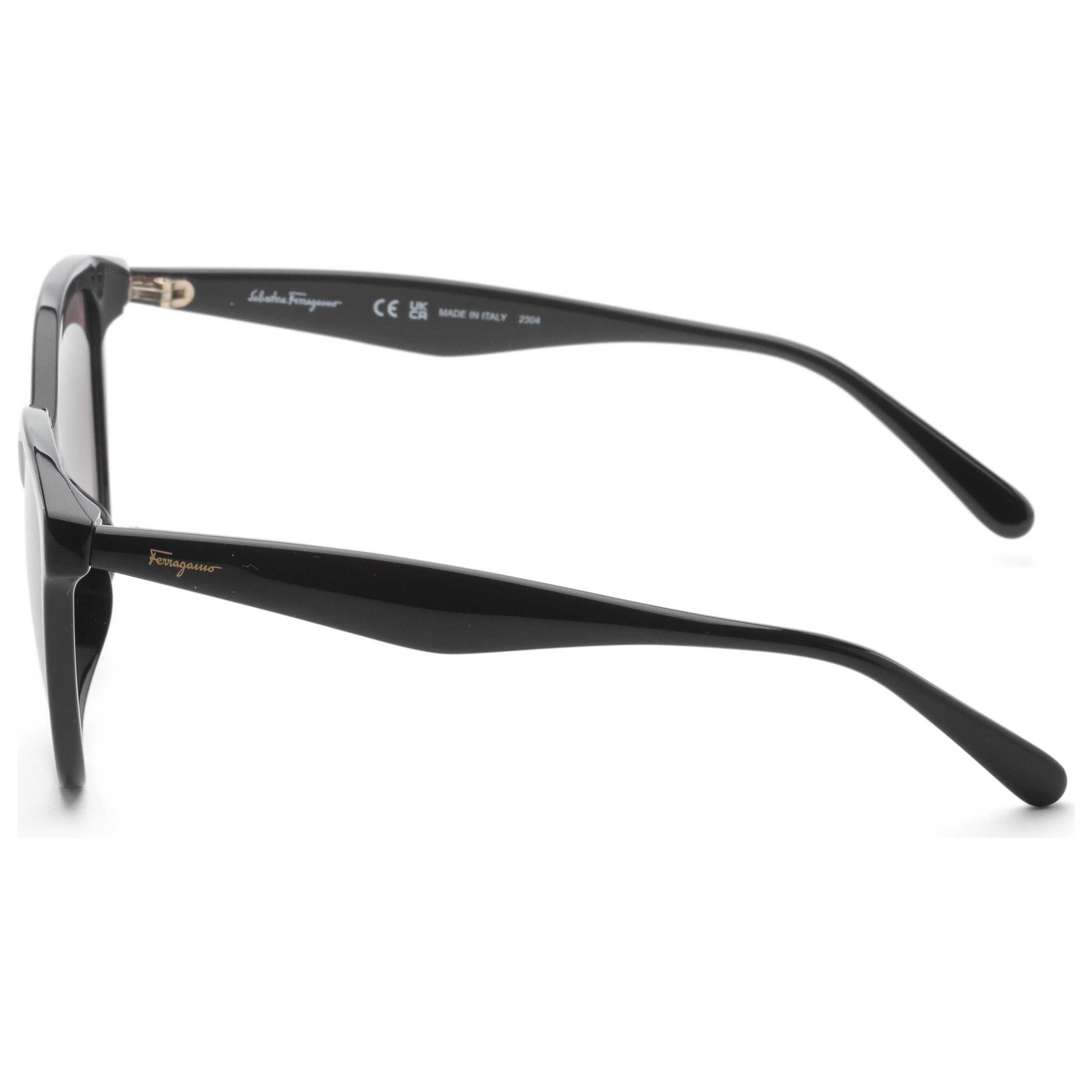 Ferragamo Fashion Women's Sunglasses SF1073S-001