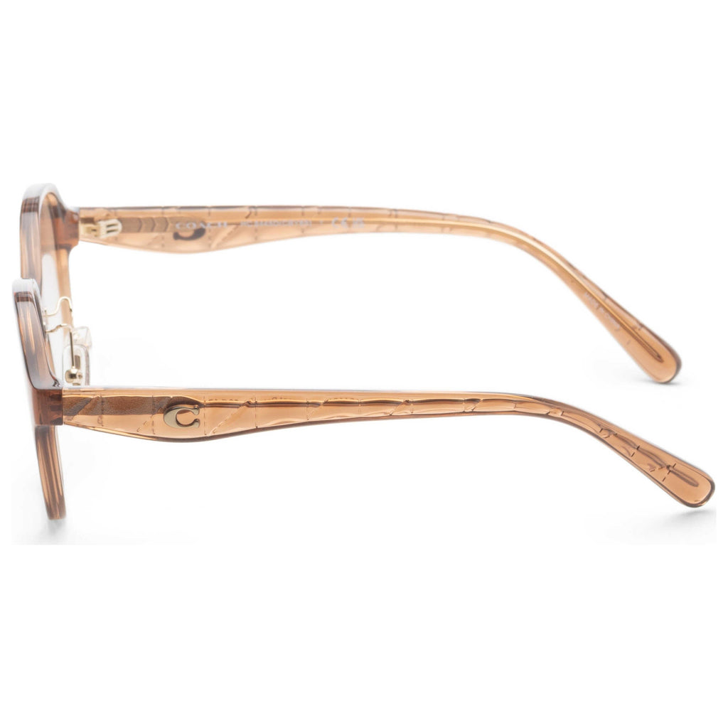 Coach Women's Sunglasses HC8445D-565413-56