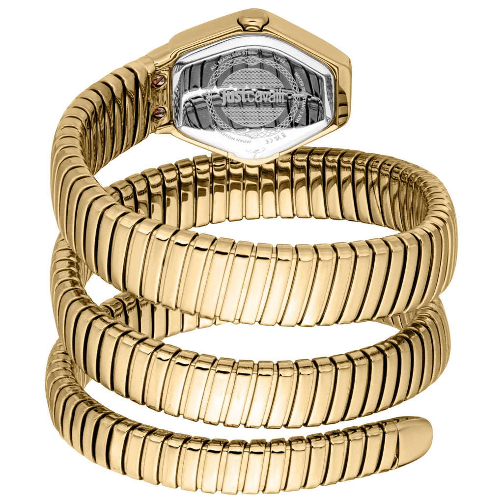 Just Cavalli Women's Watch JC1L395M0025