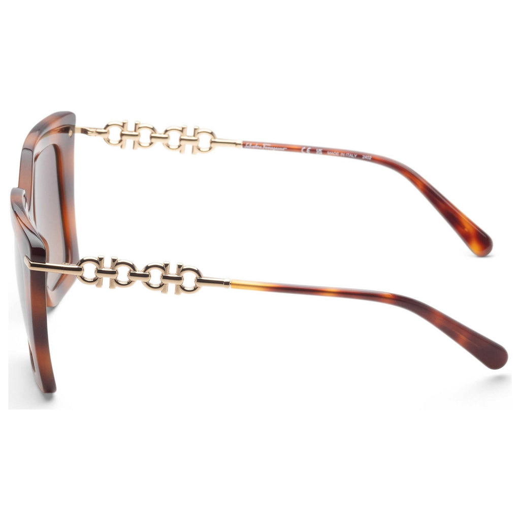 Ferragamo Fashion Women's Sunglasses SF1041S-238