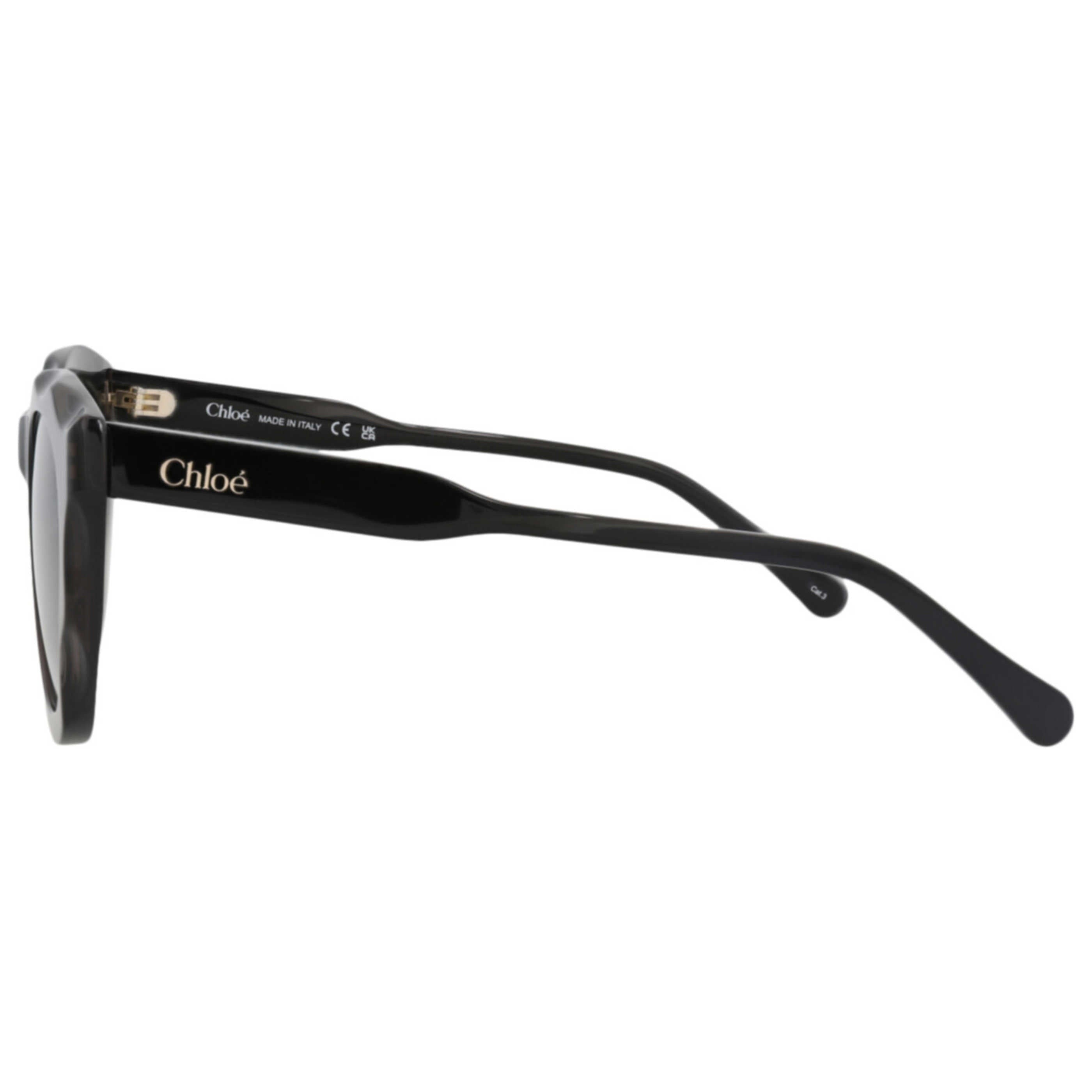 Chloe Women's Sunglasses CH0295S-30016337-001