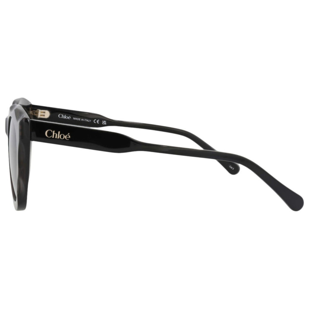 Chloe Women's Sunglasses CH0295S-30016337-001