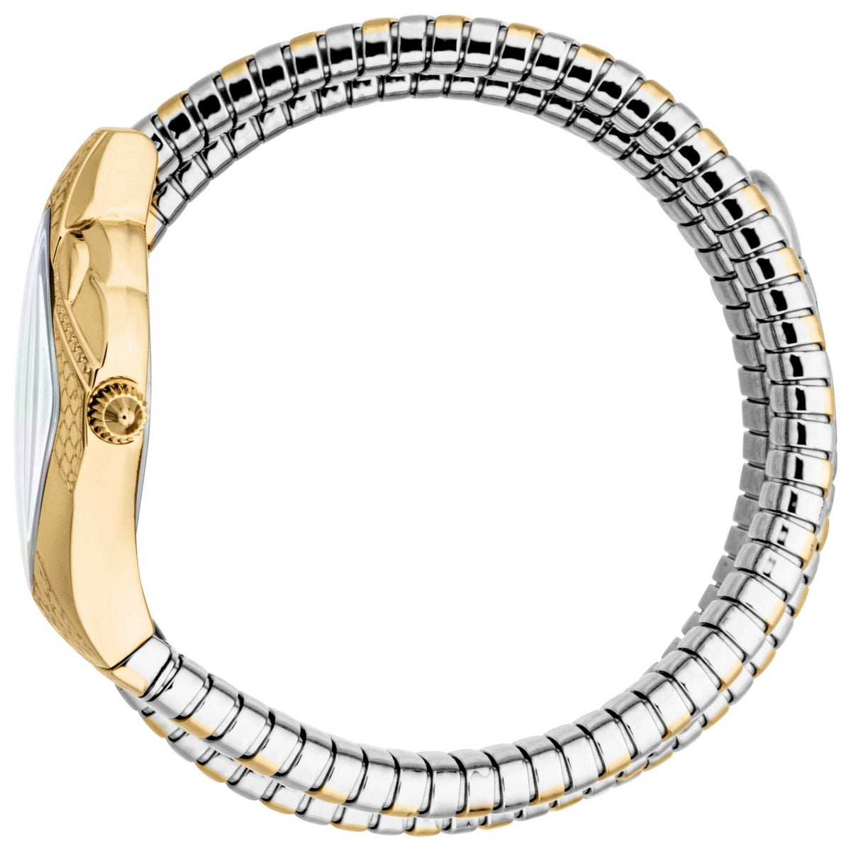 Just Cavalli Women's Watch JC1L307M0055