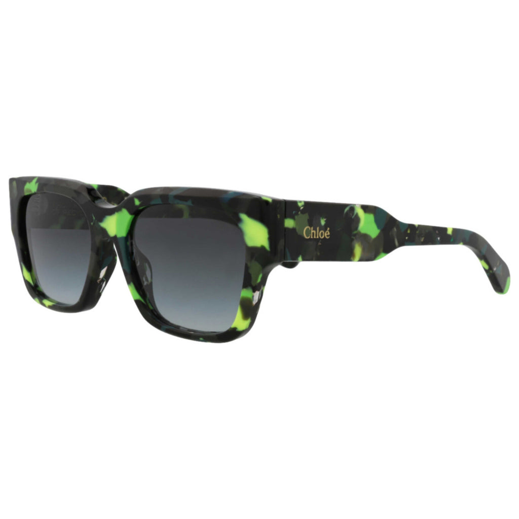 Chloe Women's Sunglasses CH0190S-30014666-005