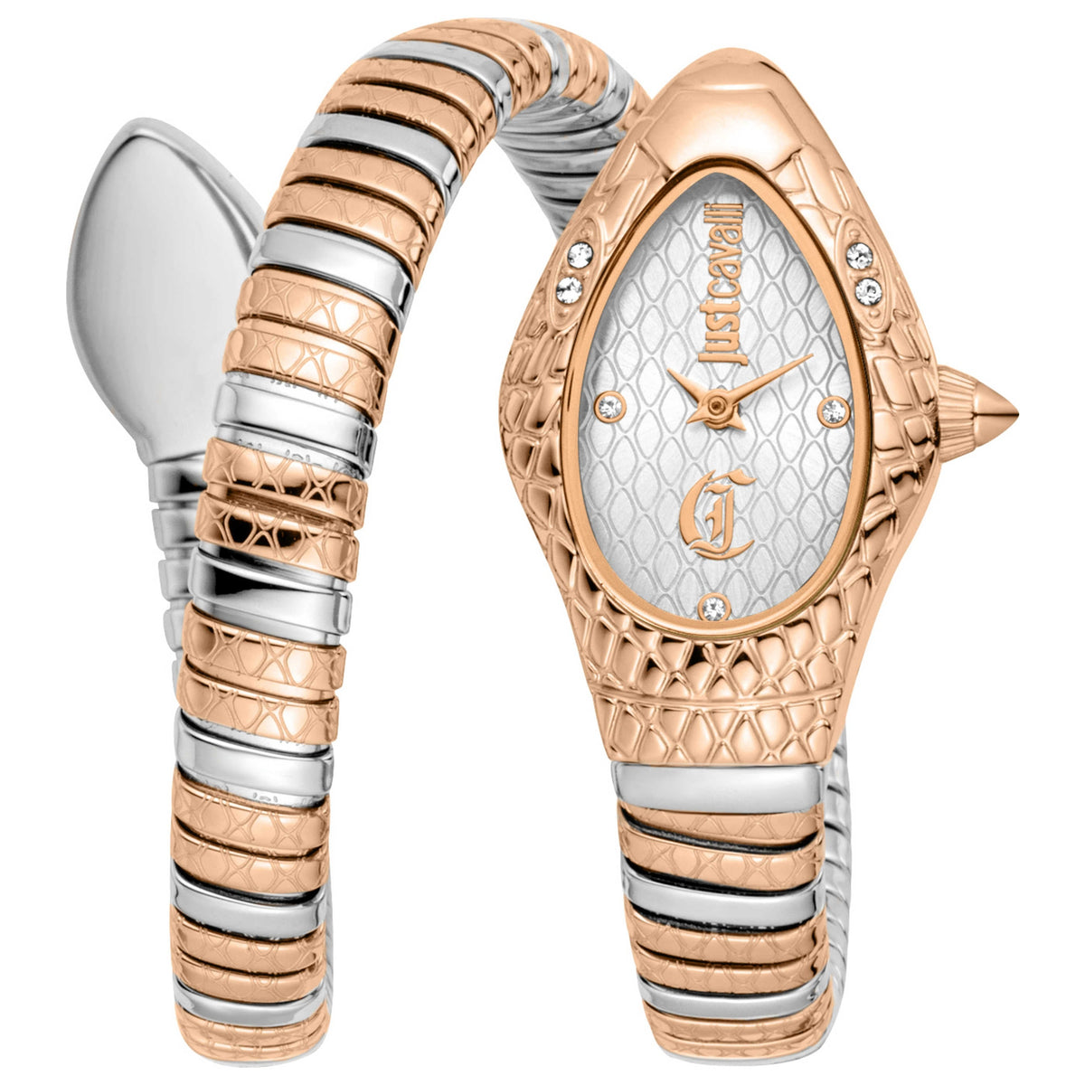 Just Cavalli Women's Watch JC1L373M0065