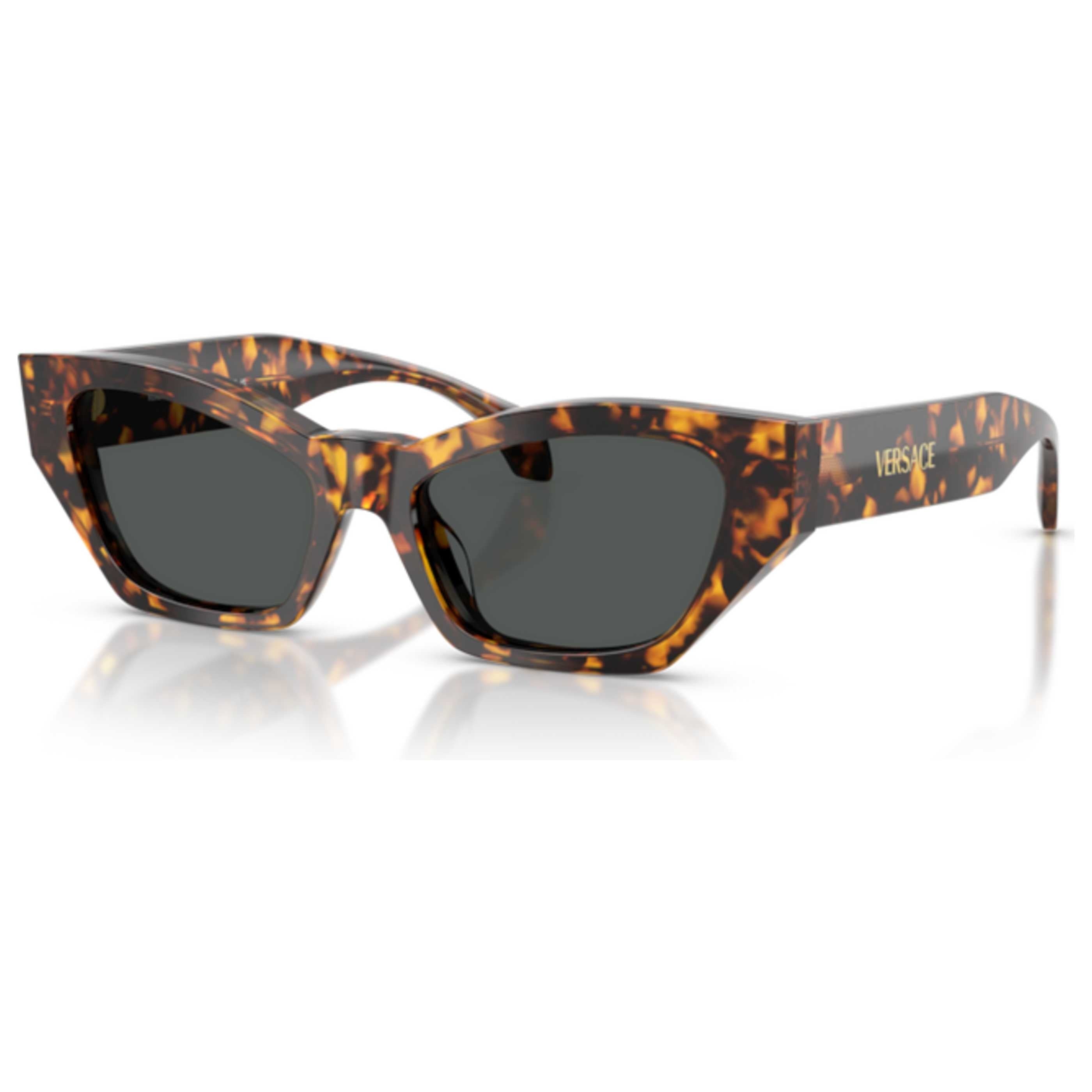Versace Women's Sunglasses VE4488U-551487-53