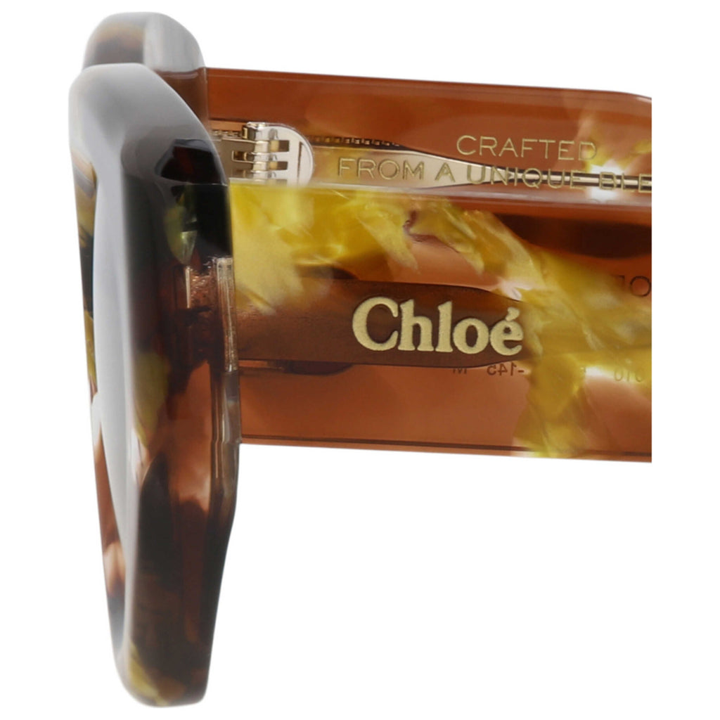 Chloe Women's Sunglasses CH0220S-30015146-010