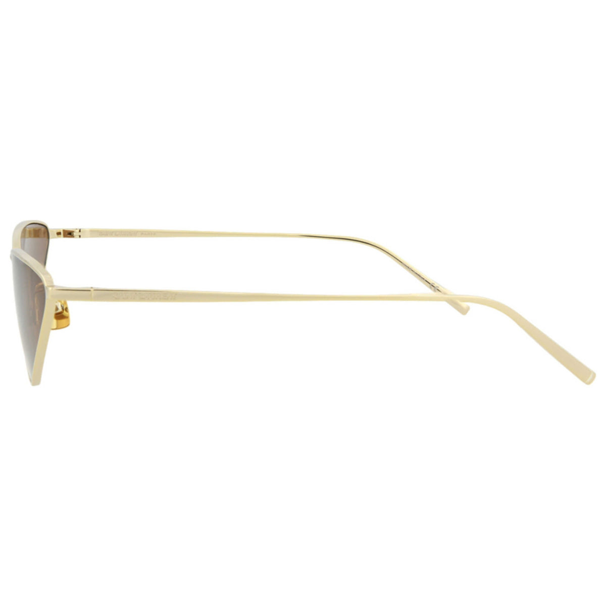 Saint Laurent Women's Sunglasses SL487-30011583-003