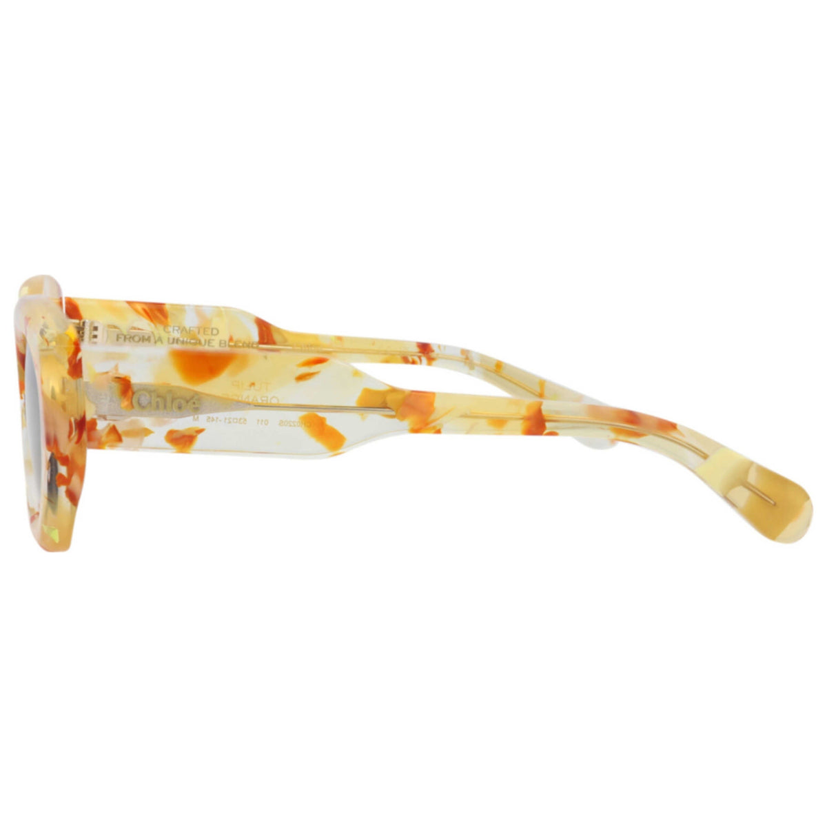 Chloe Women's Sunglasses CH0220S-30015146-011