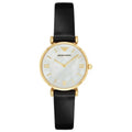 Emporio Armani Classic Women's Watch AR1910