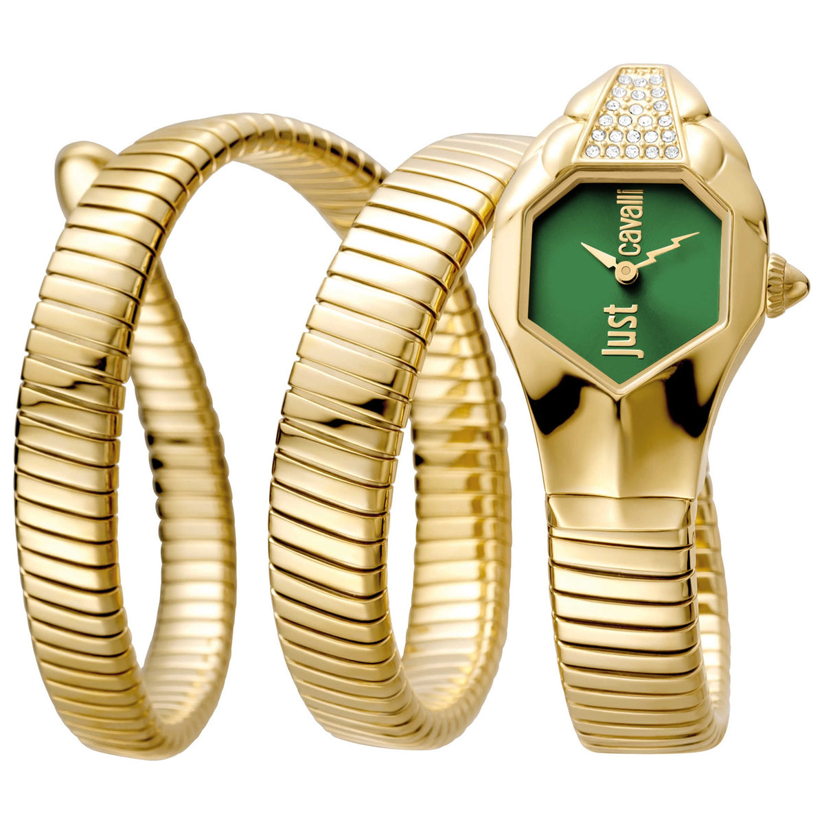 Just Cavalli Women's Watch JC1L022M0065