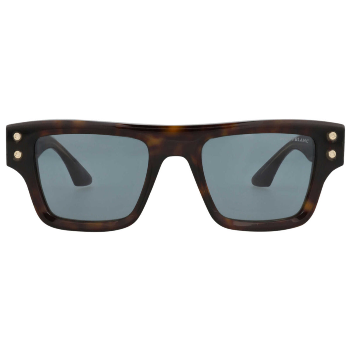 Montblanc Men's Sunglasses MB0253S-30014159-002