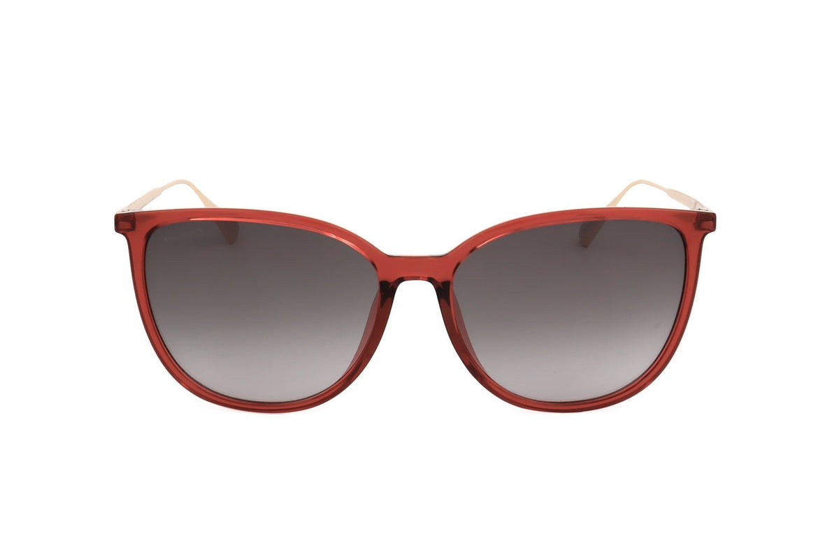 Max&Co. Women's Injected Sunglasses