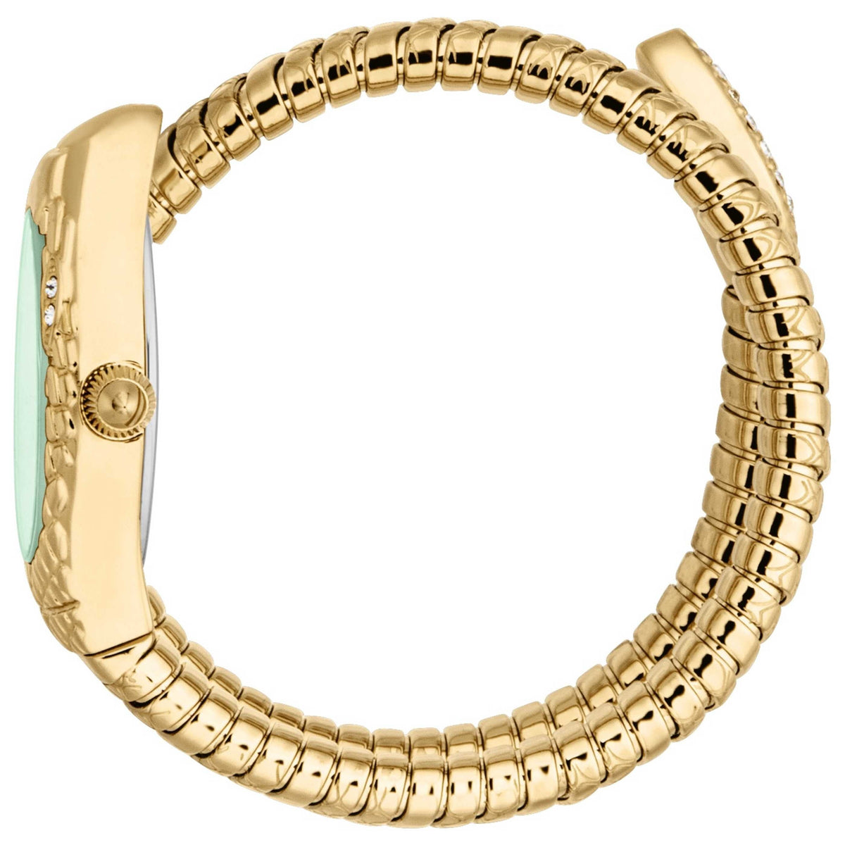 Just Cavalli Women's Watch JC1L373M0035