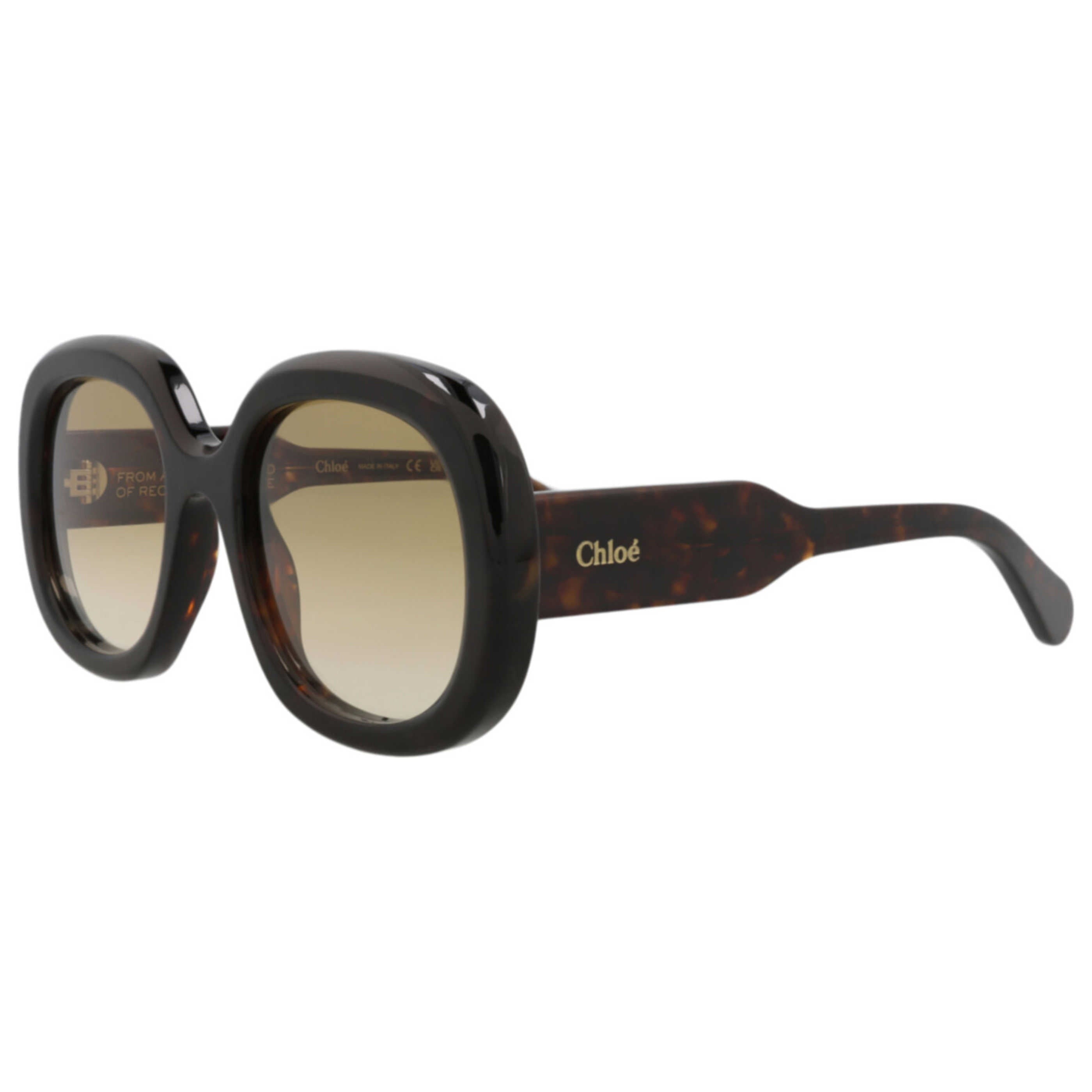 Chloe Women's Sunglasses CH0153S-30014078-002