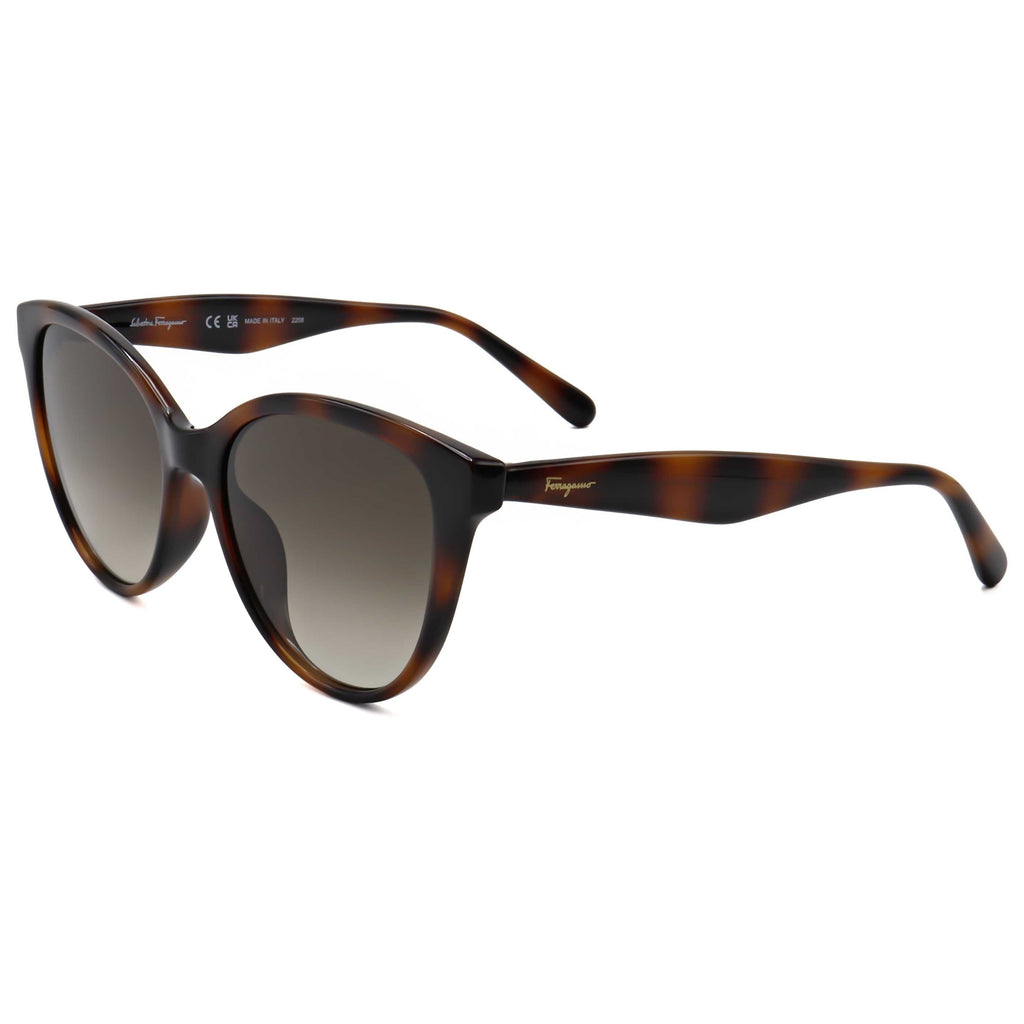 Ferragamo Fashion Women's Sunglasses SF1073S-240