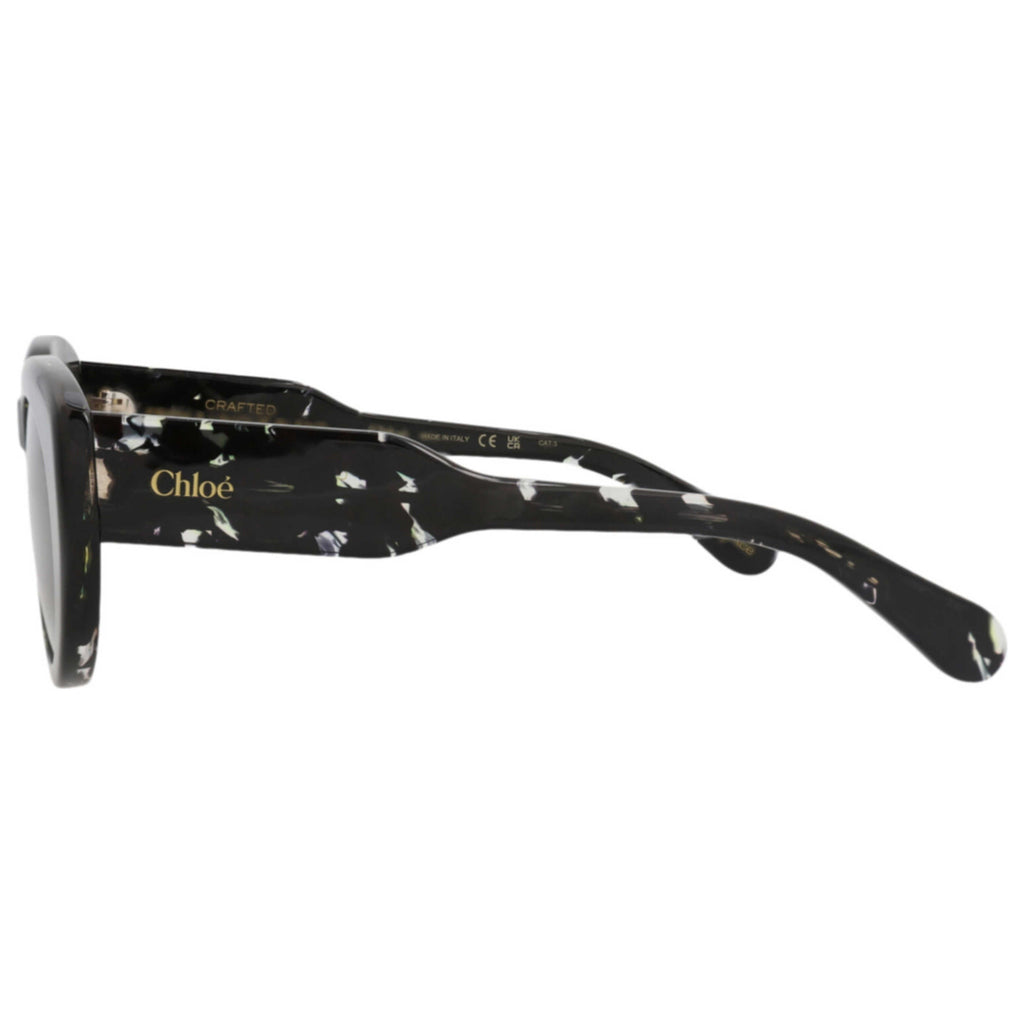 Chloe Women's Sunglasses CH0311S-30016295-003