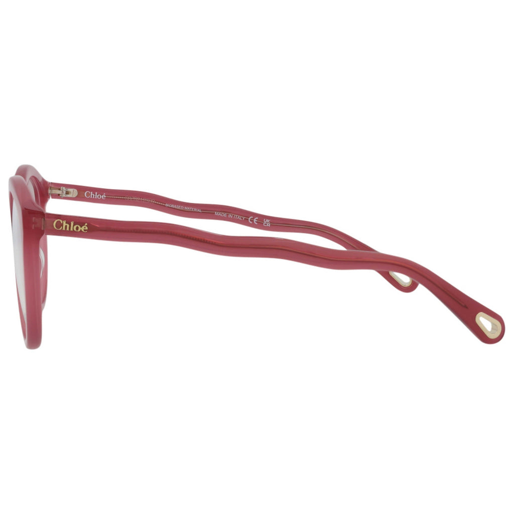 Chloe Women's Sunglasses CH0089O-30012405-004