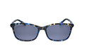 Anna Sui Women's Acetate Sunglasses