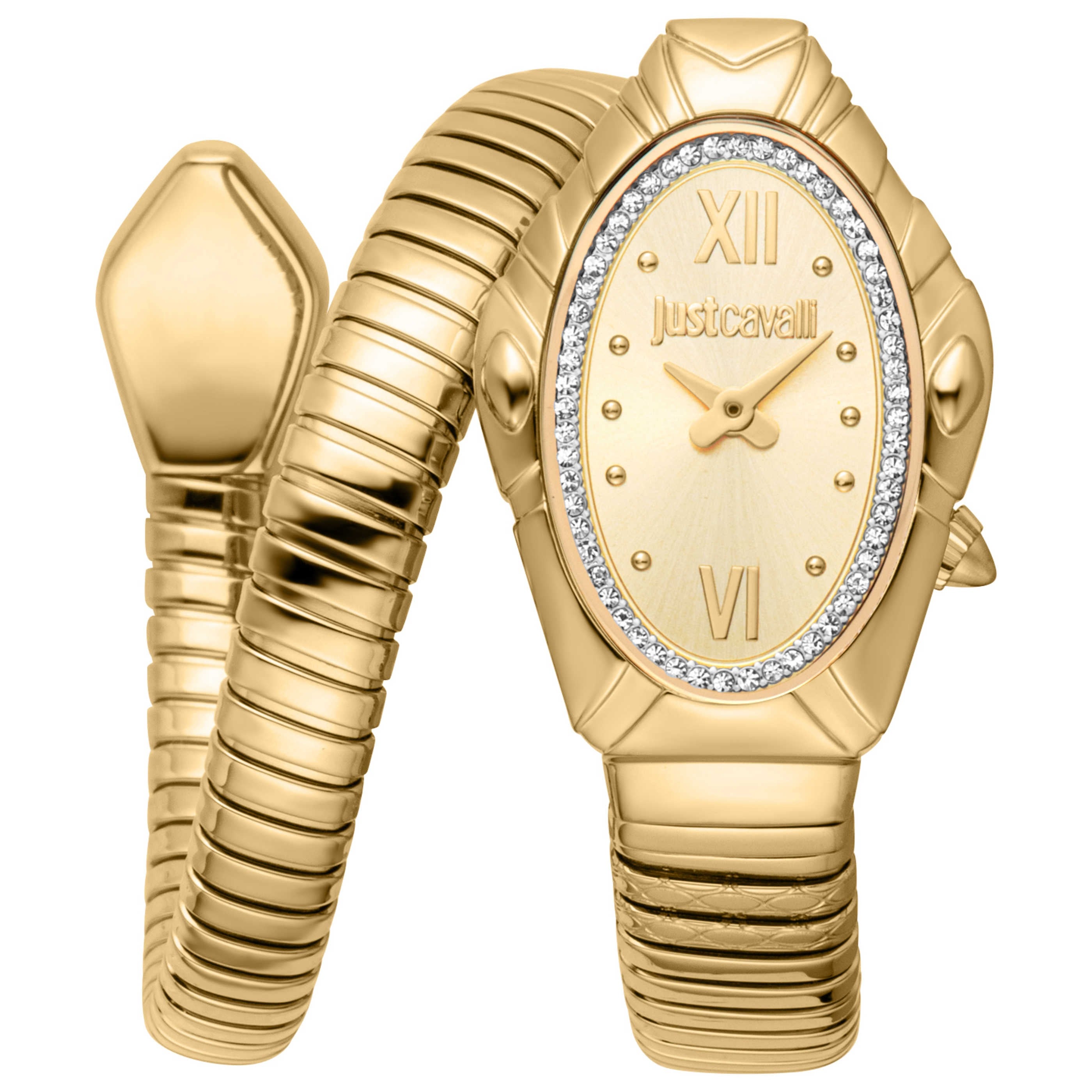 Just Cavalli Women's Watch JC1L357M0025