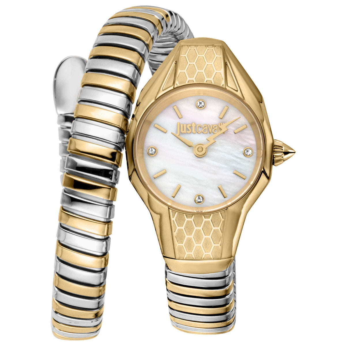 Just Cavalli Women's Watch JC1L375M0055