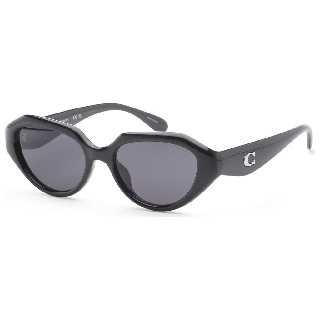 Coach Women's Sunglasses HC8433U-500287-52