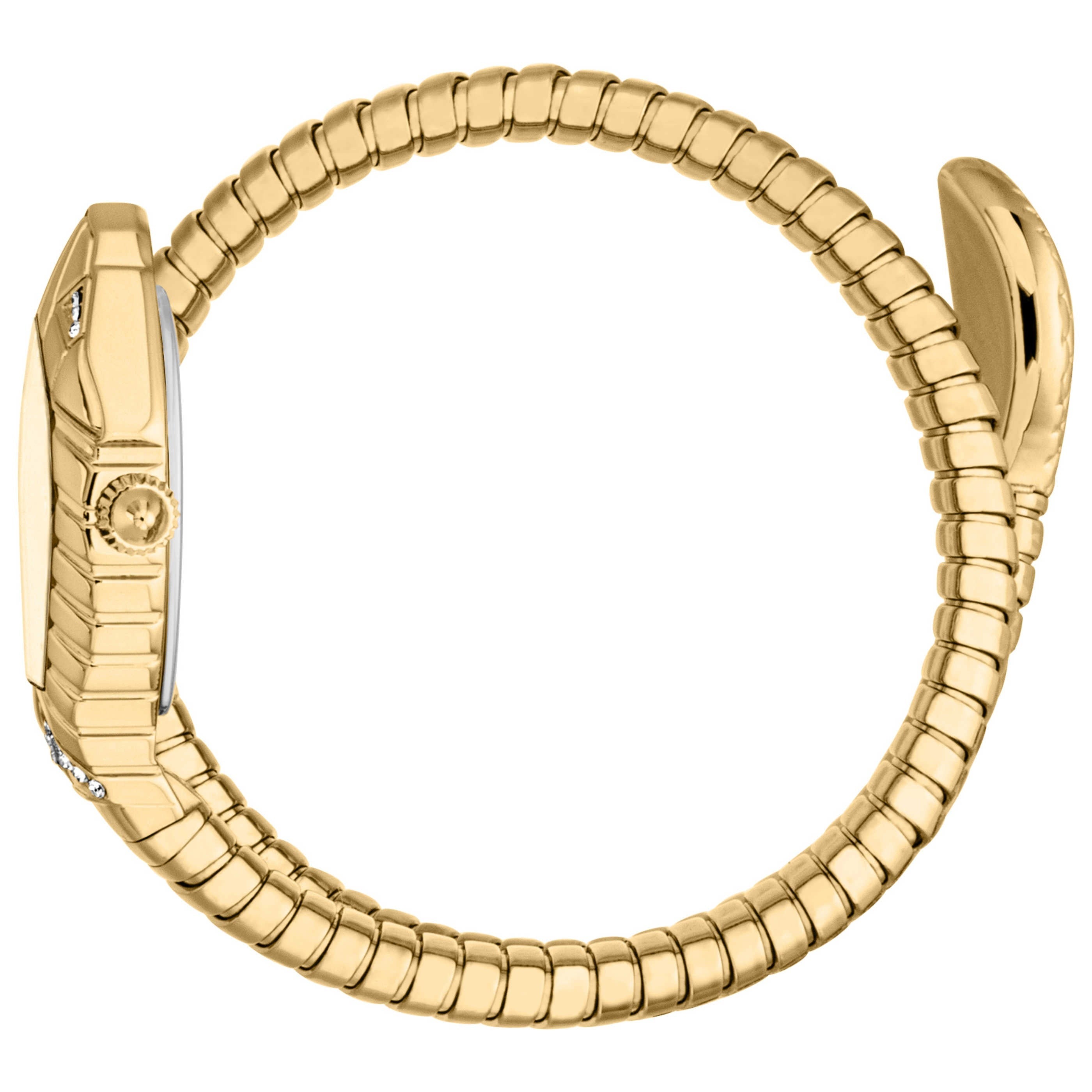 Just Cavalli Women's Watch JC1L356M0025