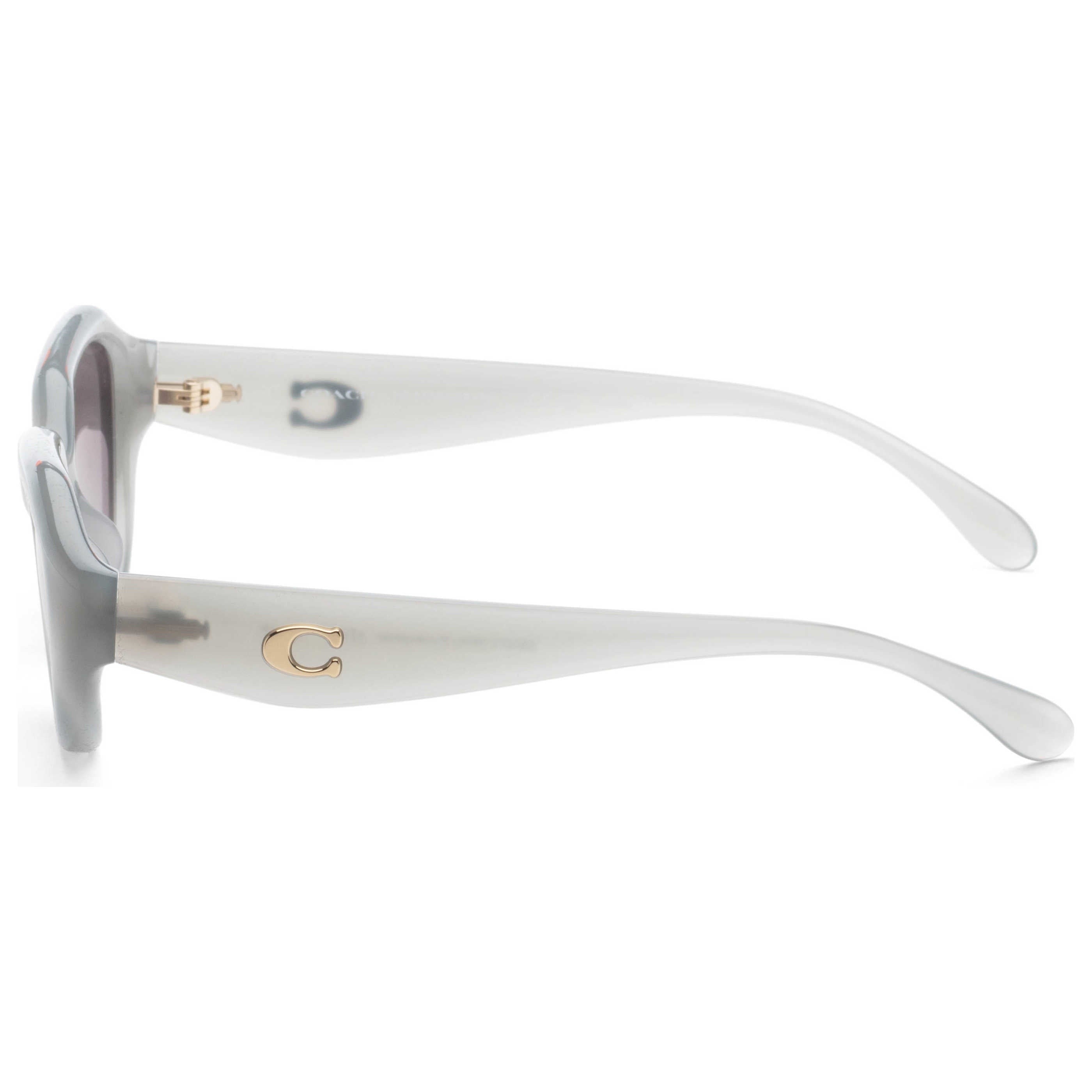 Coach Women's Sunglasses HC8433U-5905T3-52