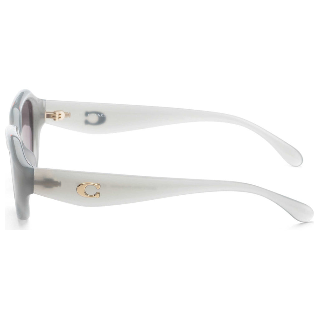 Coach Women's Sunglasses HC8433U-5905T3-52
