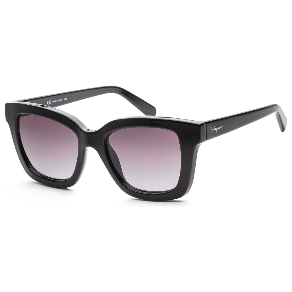 Ferragamo Women's Sunglasses SF955S-5319001