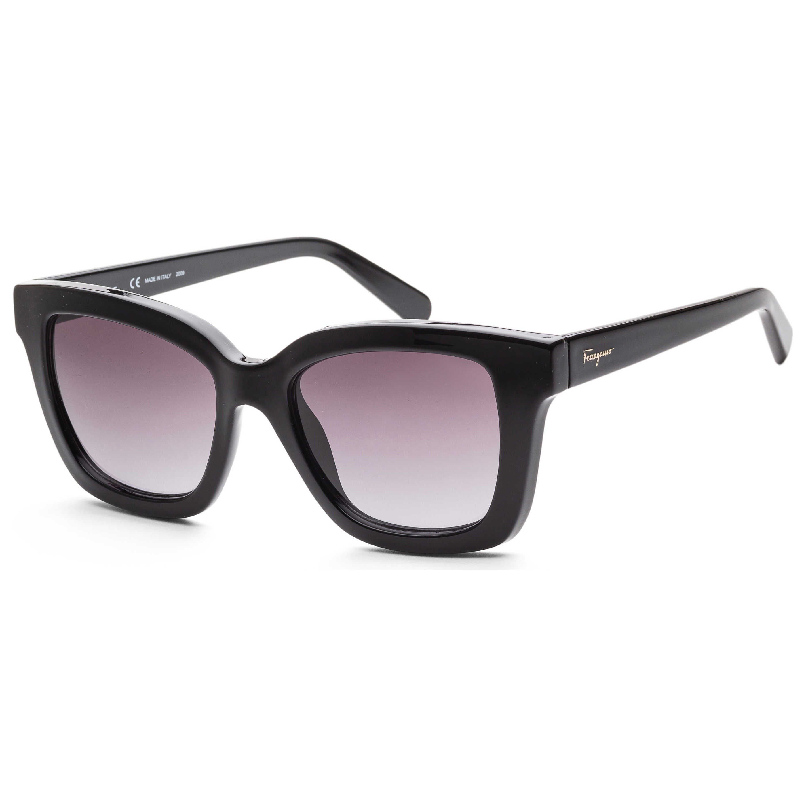 Ferragamo Women's Sunglasses SF955S-5319001