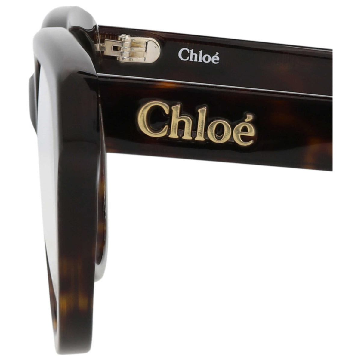 Chloe Women's Eyeglasses CH0243O-30015158-006