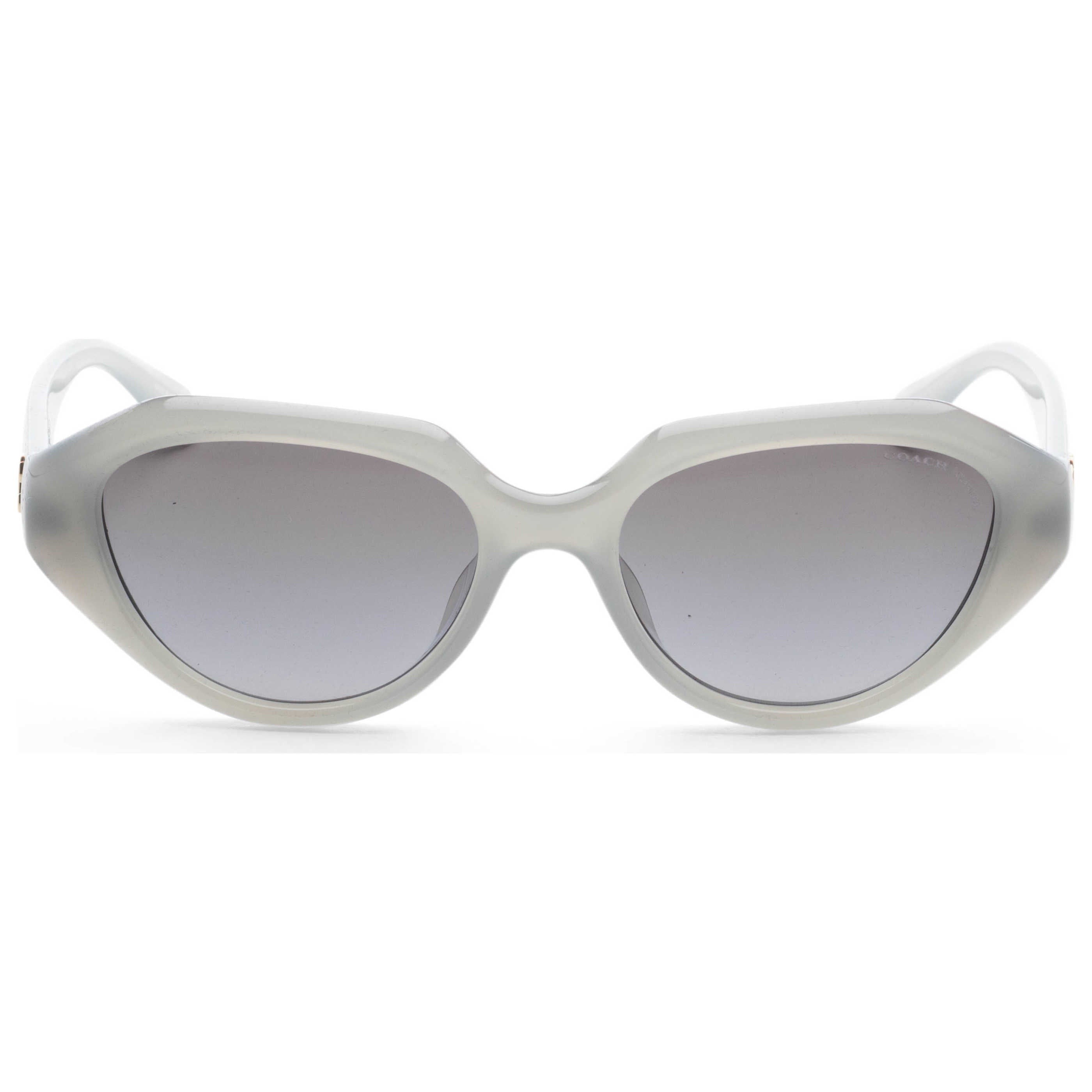 Coach Women's Sunglasses HC8433U-5905T3-52