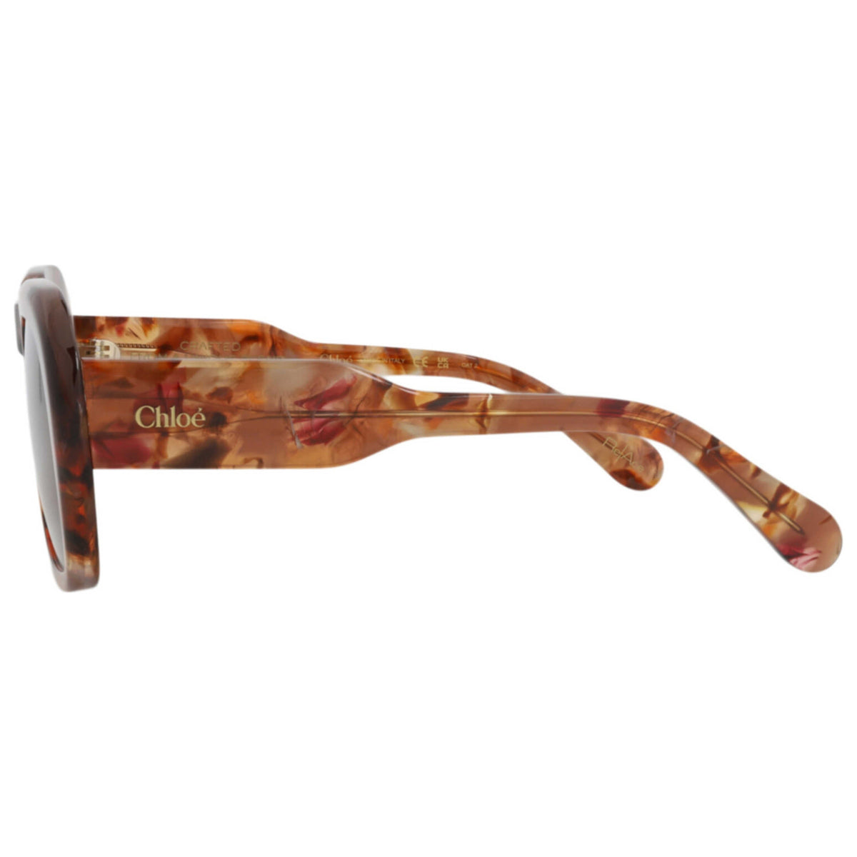 Chloe Women's Sunglasses CH0310S-30016294-005