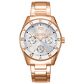 DKNY Classic Men's Watch DK1L073M0045