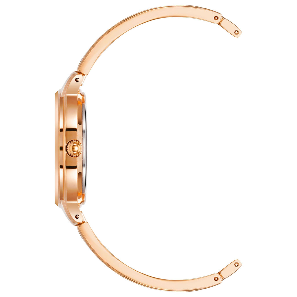 Anne Klein Women's Watch AK-2626BYRG