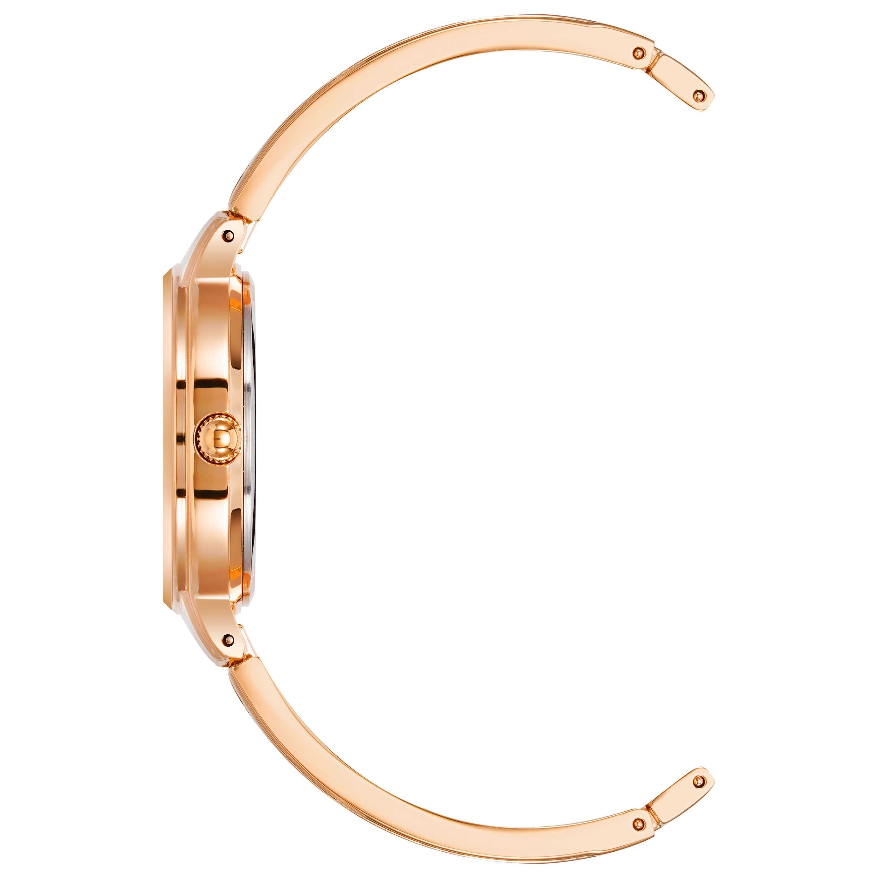 Anne Klein Women's Watch AK-2626BYRG