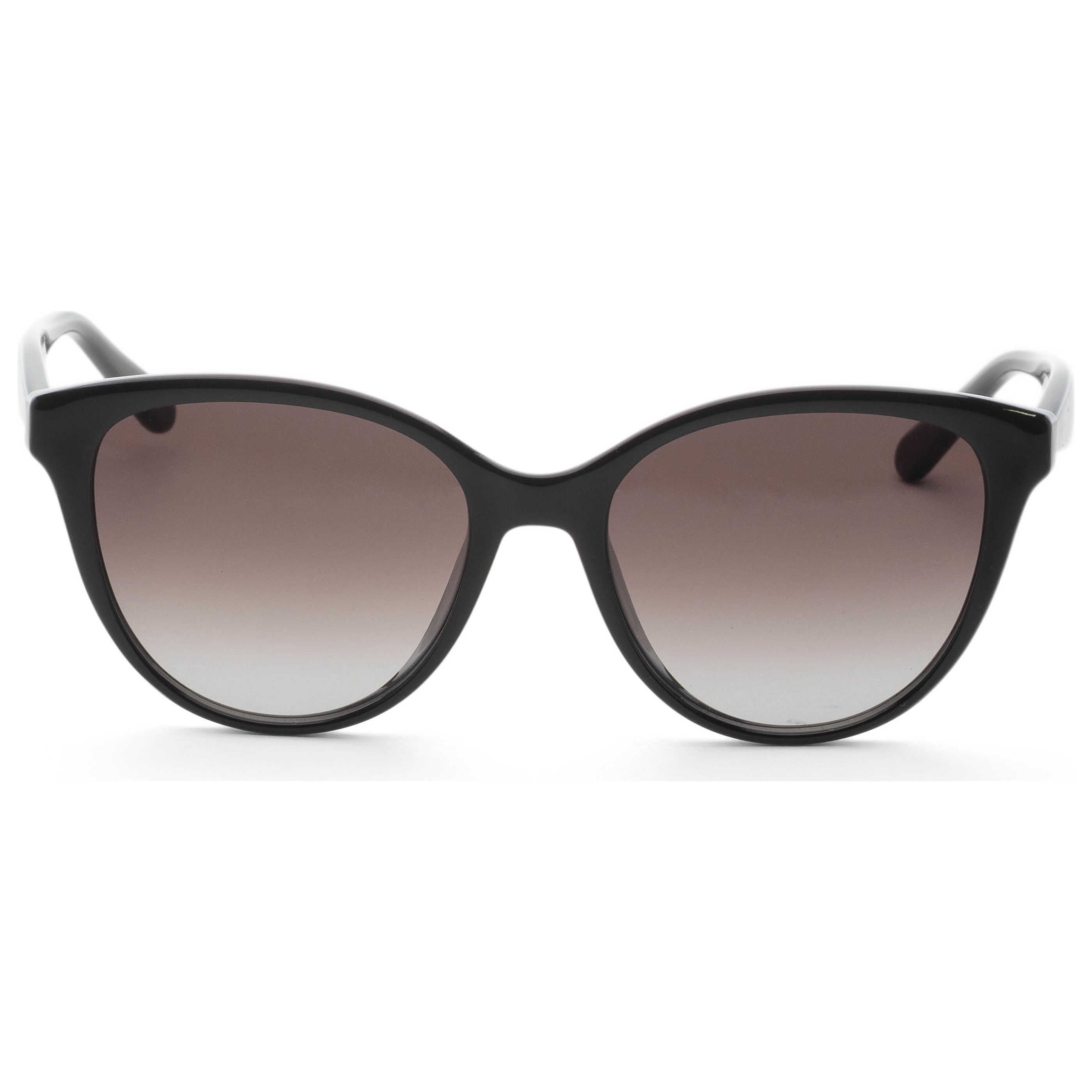 Ferragamo Fashion Women's Sunglasses SF1073S-001