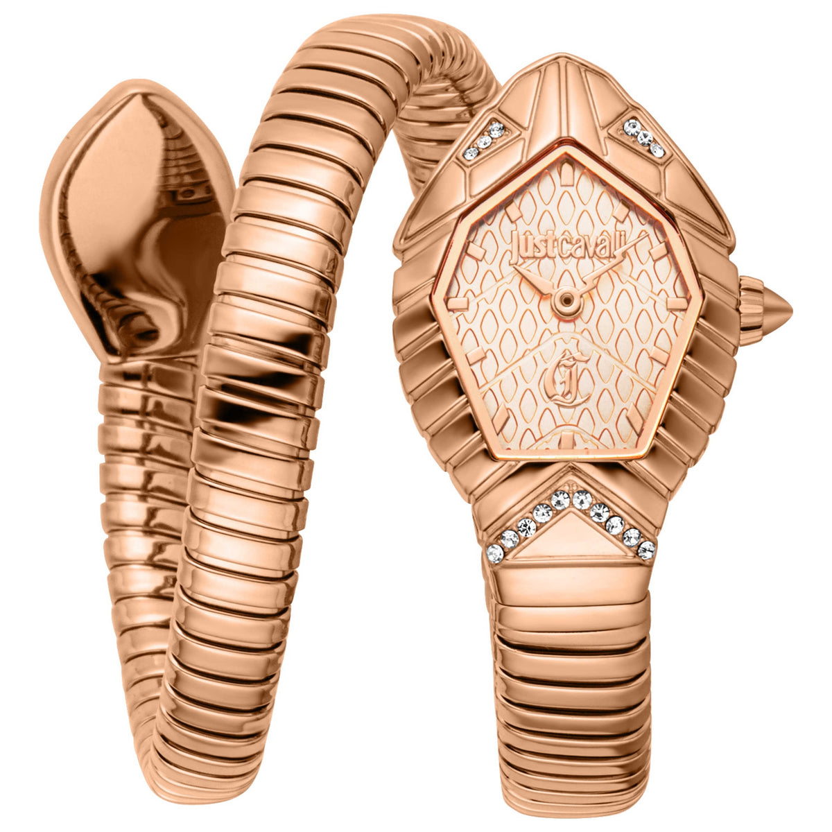 Just Cavalli Women's Watch JC1L356M0045
