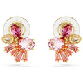 Swarovski Women's Earring 5688479