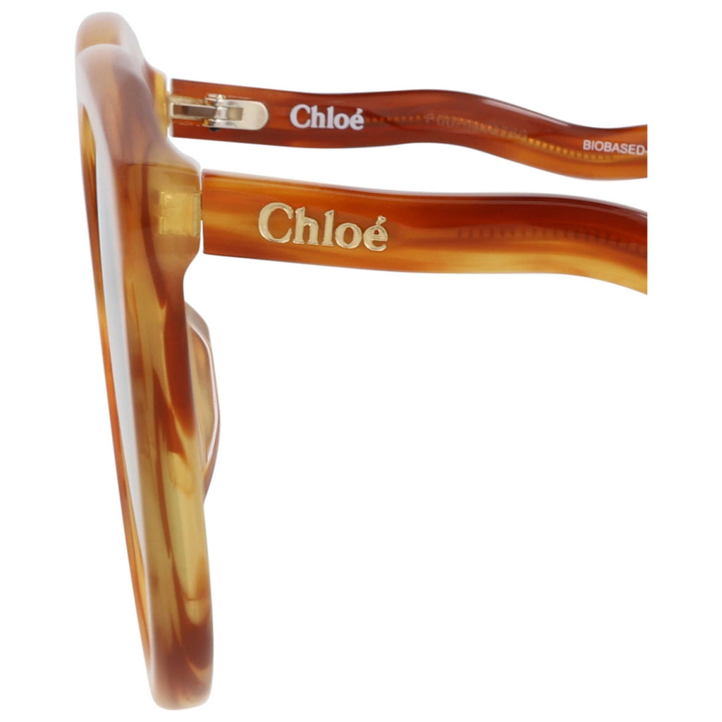 Chloe Women's Sunglasses CH0087S-30012393-002